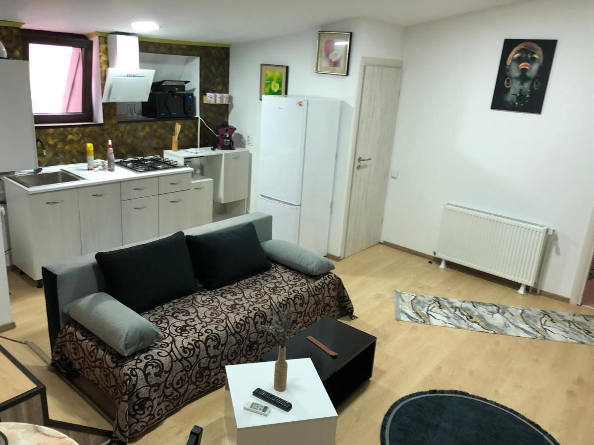 Serban Arenele Romane Marius Nasta Appartement