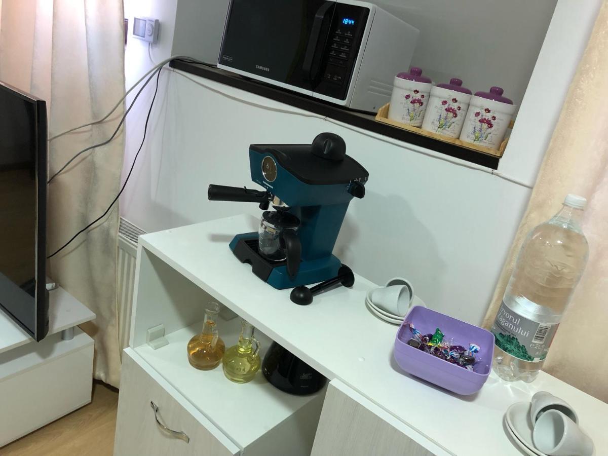 Serban Arenele Romane Marius Nasta Appartement