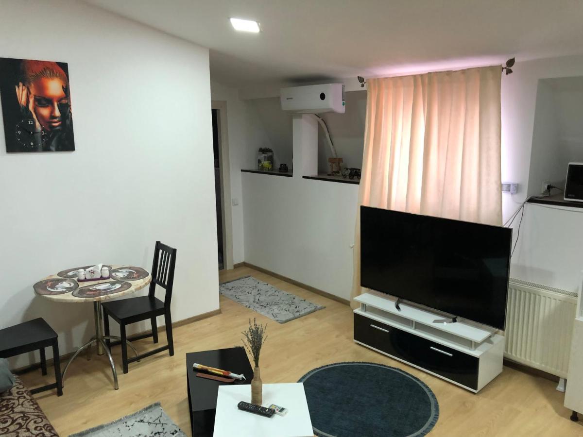 Serban Arenele Romane Marius Nasta Appartement Bucarest