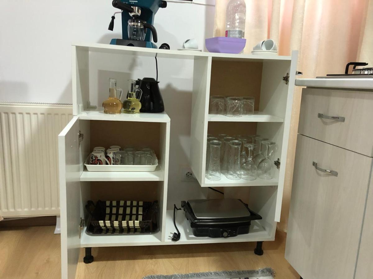 Appartement Serban Arenele Romane Marius Nasta